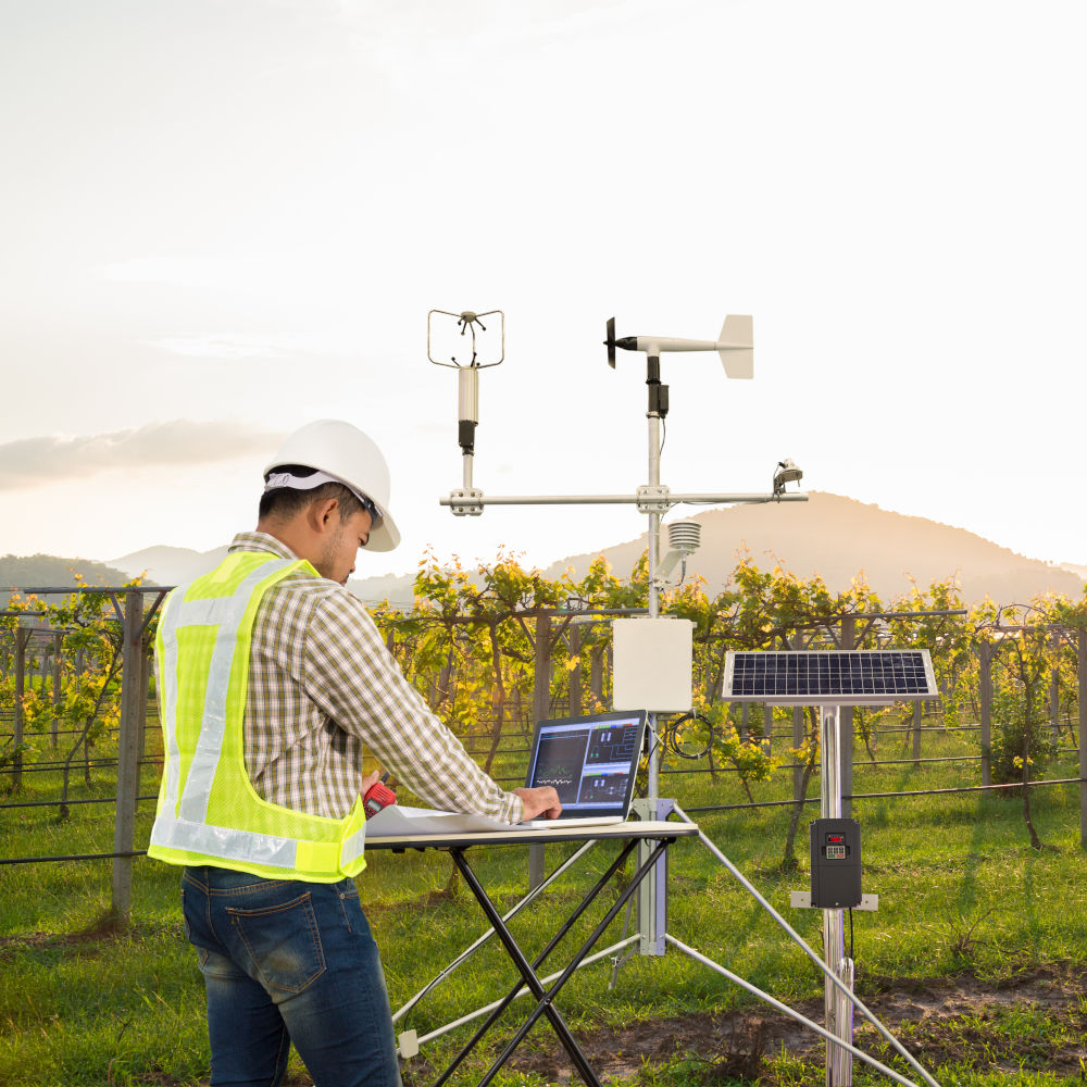 Engineer use tablet computer collect data with meteorological instrument to measure the wind speed, temperature and humidity and solar cell system on grape field, Smart agriculture technology concept